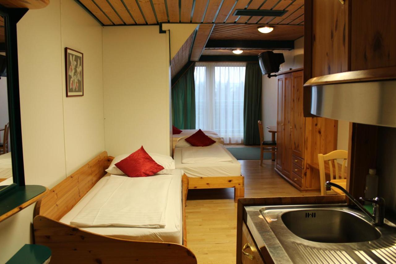 Hotel Asperner Löwe 3*